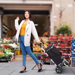 Arebos 3in1 Einkaufstrolley Schwarz Outlet