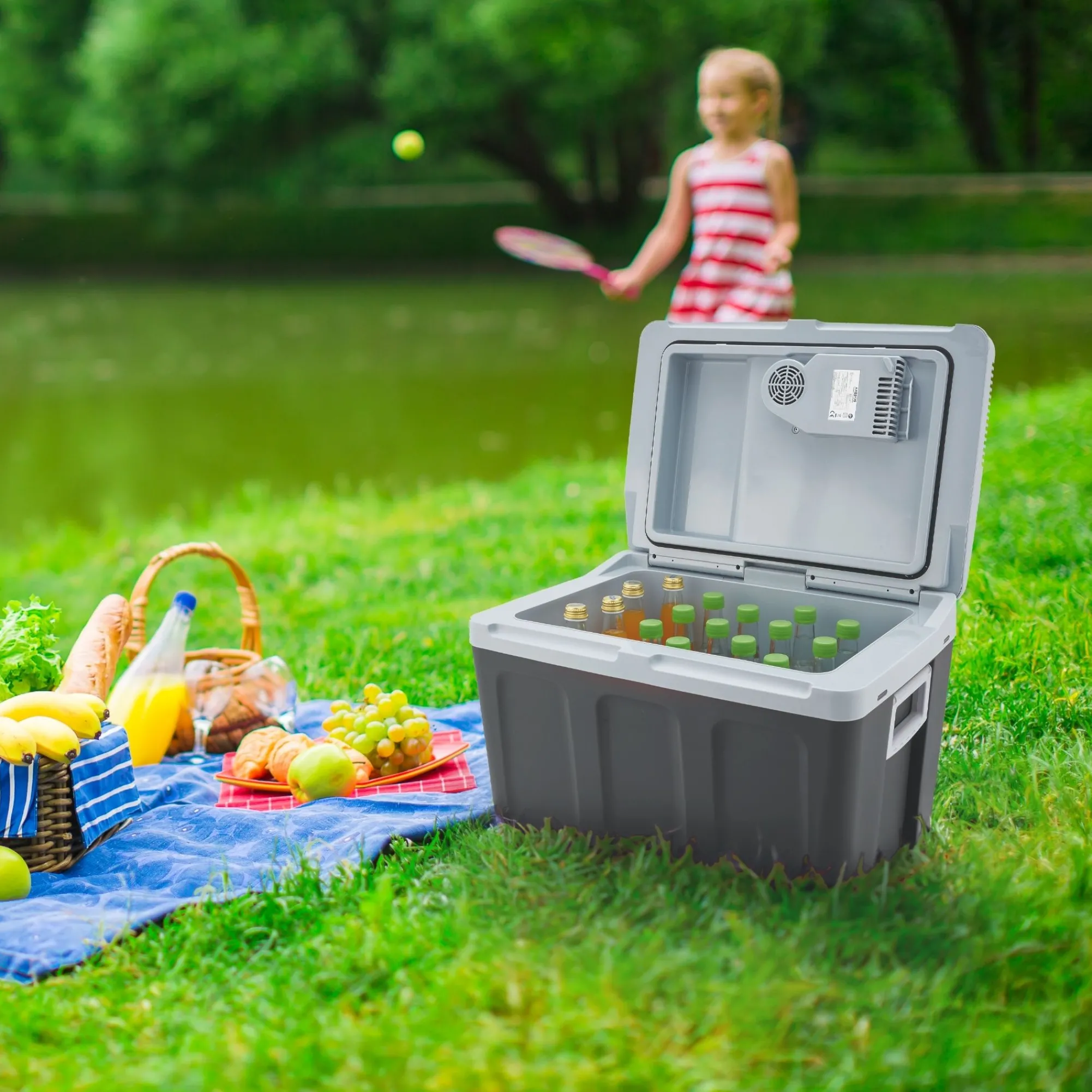 Arebos Thermoelektrische Kühlbox 40L Outlet