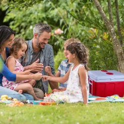 Arebos Thermoelektrische Kühlbox 40 Liter - Rot Hot